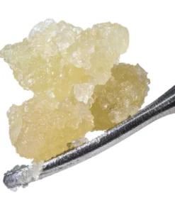 Runtz High THCA Live Sugar