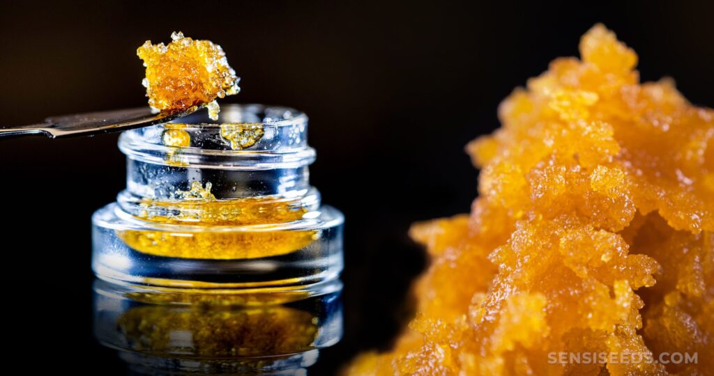 LIVE RESIN