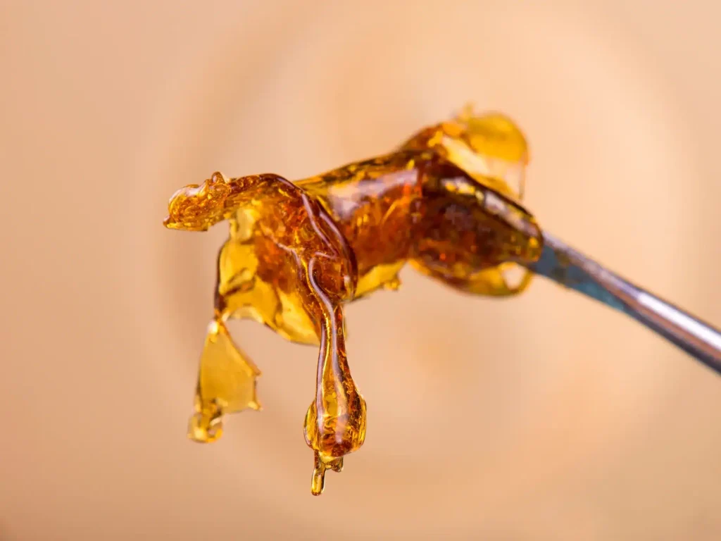 shatter wax