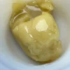 Sugar Sap
