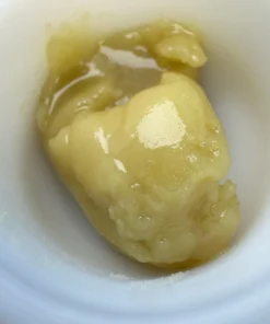 Sugar Sap
