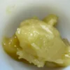 Tropical Coconut